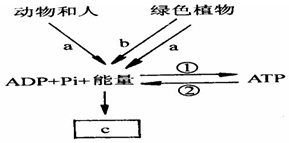 作业帮