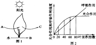 作业帮