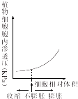 作业帮