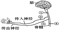 作业帮