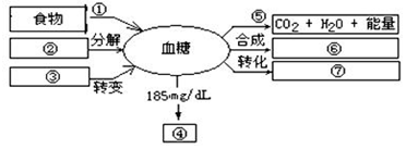 作业帮