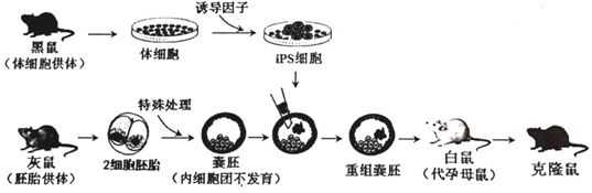 作业帮