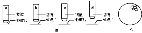 作业帮