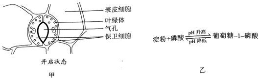 作业帮