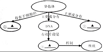 作业帮