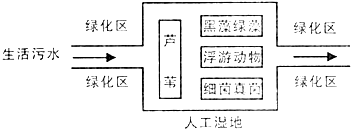 作业帮