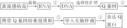 作业帮