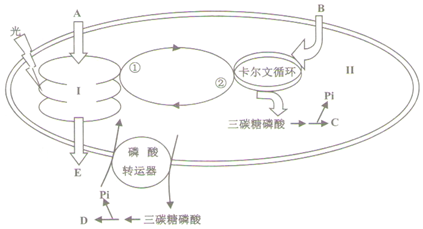 作业帮