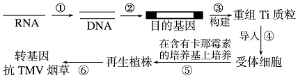 作业帮