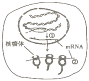 作业帮