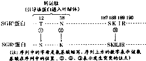 作业帮