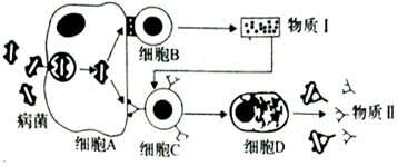 作业帮