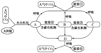 作业帮