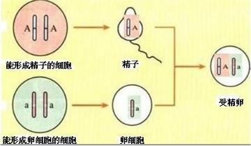 作业帮