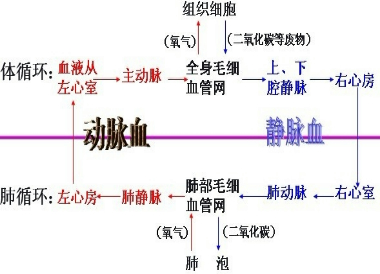 作业帮