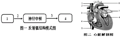 作业帮