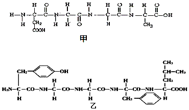 作业帮