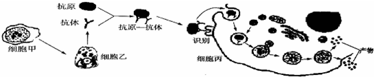 作业帮