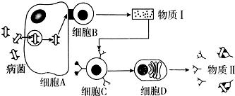 作业帮