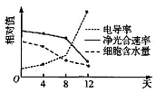 作业帮