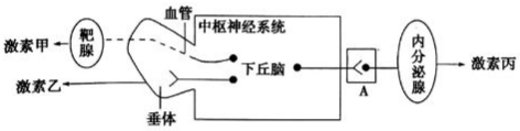 作业帮