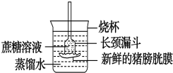 作业帮