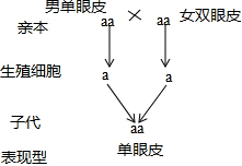 作业帮