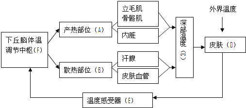 如图为人体体温调节示意图请据图回答