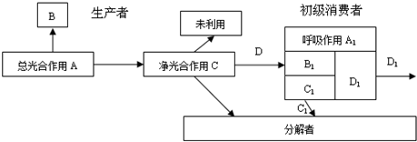 作业帮