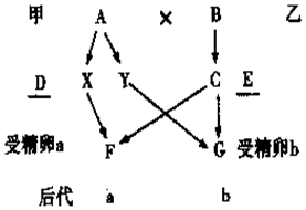 作业帮