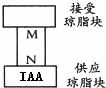 作业帮