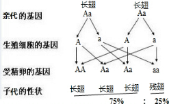 作业帮