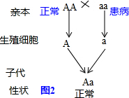 作业帮