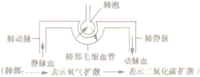 作业帮