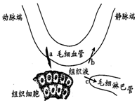 作业帮