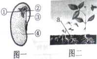 作业帮