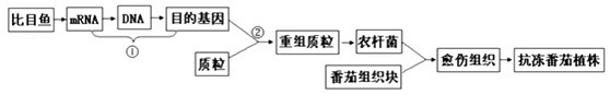 作业帮