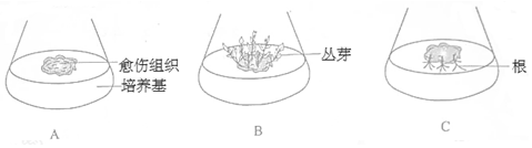 作业帮