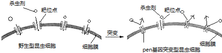 作业帮