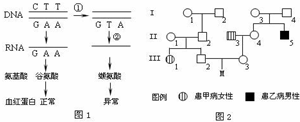 作业帮