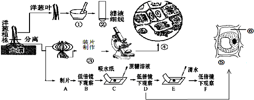 作业帮