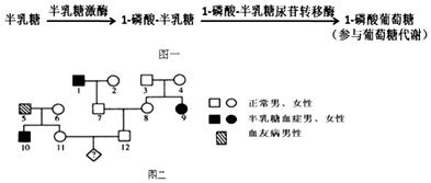 作业帮