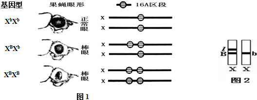 作业帮