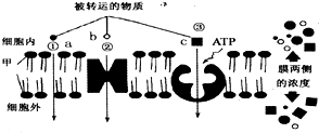 作业帮