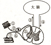 作业帮