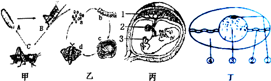 作业帮