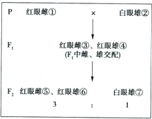 作业帮