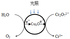 作业帮