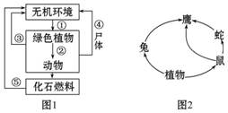 作业帮