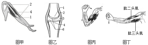 作业帮